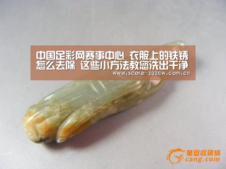 中国足彩网赛事中心_衣服上的铁锈怎么去除 这些小方法教您洗出干净如新的衣服(图2) 美洲杯